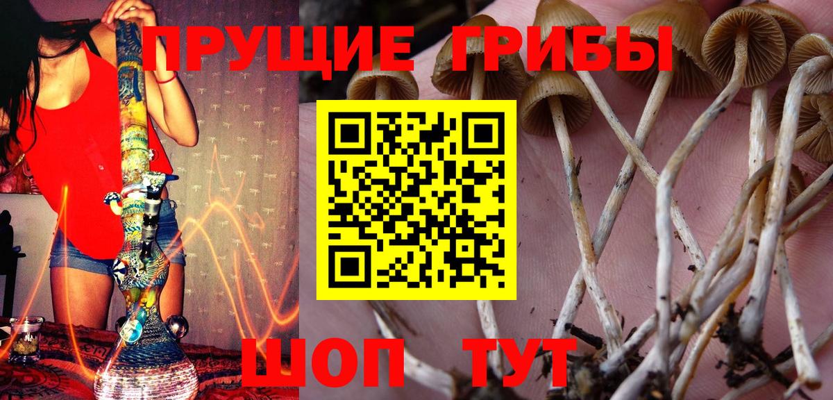 Галлюциногенные грибы Magic Shrooms  Вход с VPN  Бор 